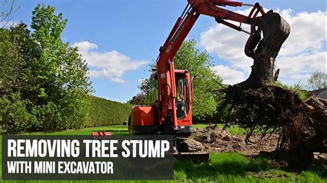 felling a tree with mini excavator|removing trees from excavators.